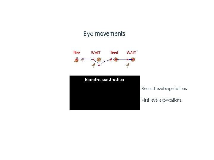 Eye movements flee WAIT feed WAIT Narrative construction Second level expectations First level expectations
