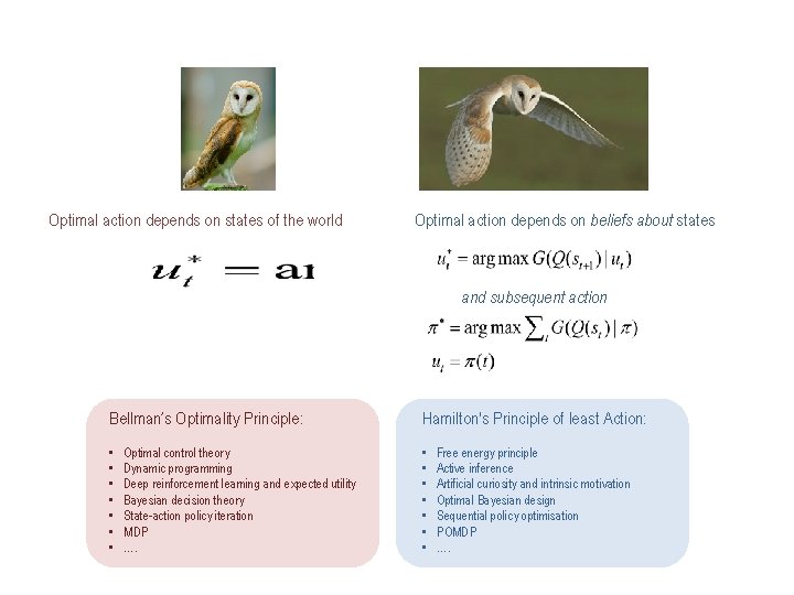 Optimal action depends on states of the world Optimal action depends on beliefs about