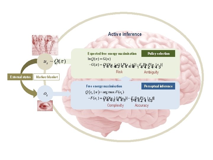 Active inference Expected free energy maximisation Risk External states Policy selection Ambiguity Markov blanket