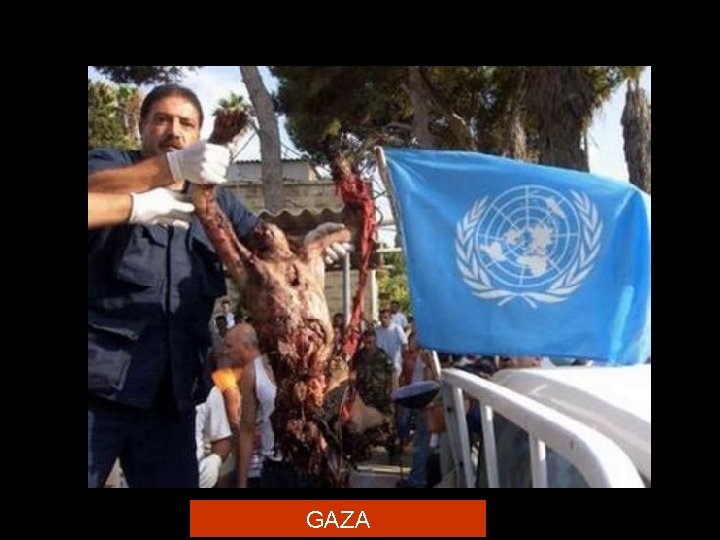 GAZA 