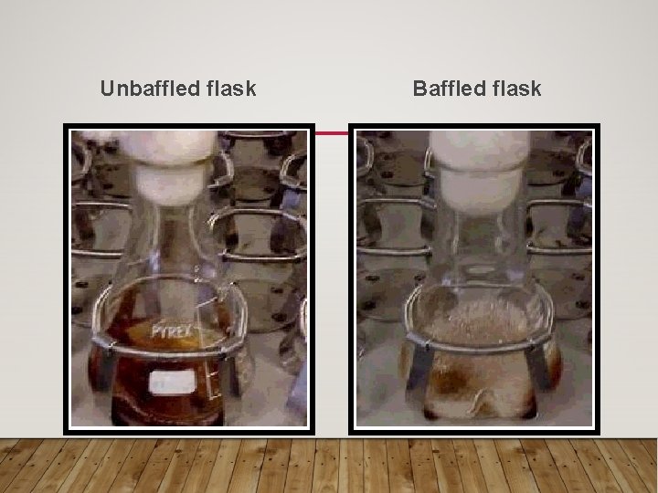 BIOREACTORS CONTENTS 1 Introduction 2 O 2 uptake