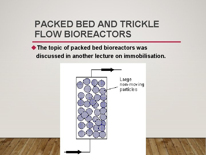 PACKED BED AND TRICKLE FLOW BIOREACTORS u. The topic of packed bioreactors was discussed