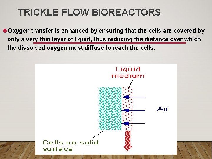 TRICKLE FLOW BIOREACTORS u. Oxygen transfer is enhanced by ensuring that the cells are
