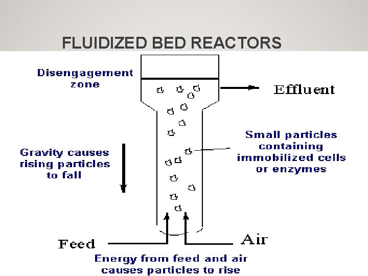 FLUIDIZED BED REACTORS 