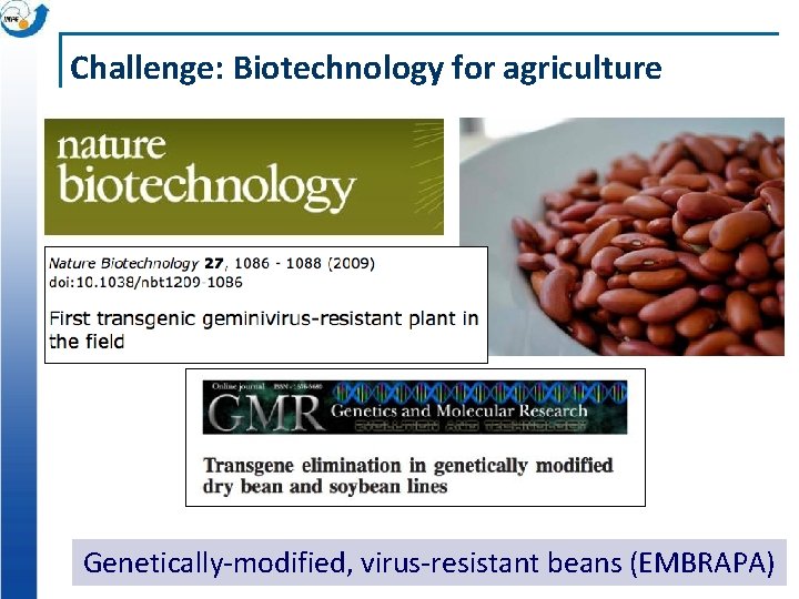 Challenge: Biotechnology for agriculture Genetically-modified, virus-resistant beans (EMBRAPA) 