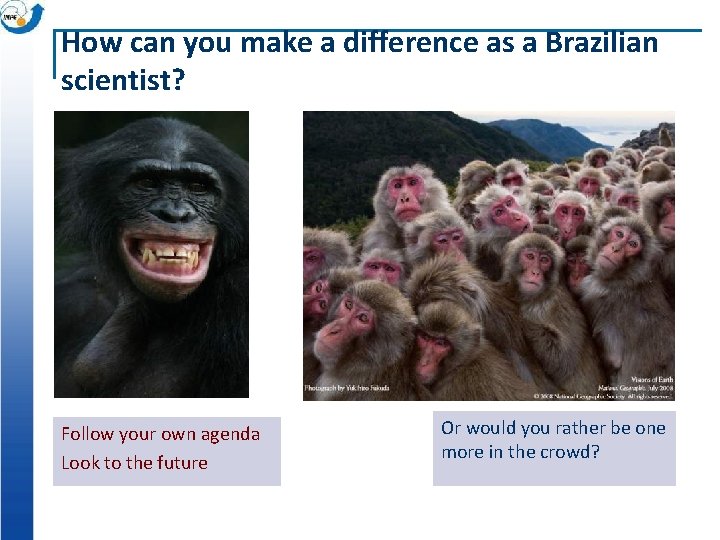 How can you make a difference as a Brazilian scientist? Follow your own agenda