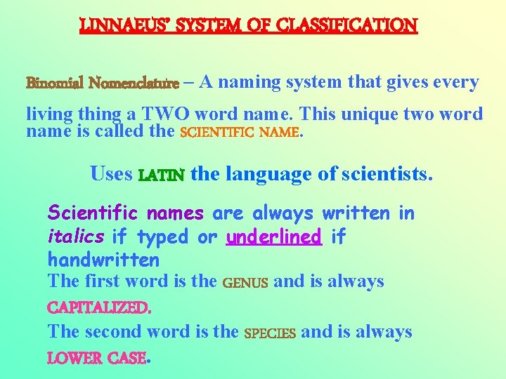 LINNAEUS’ SYSTEM OF CLASSIFICATION Binomial Nomenclature – A naming system that gives every living