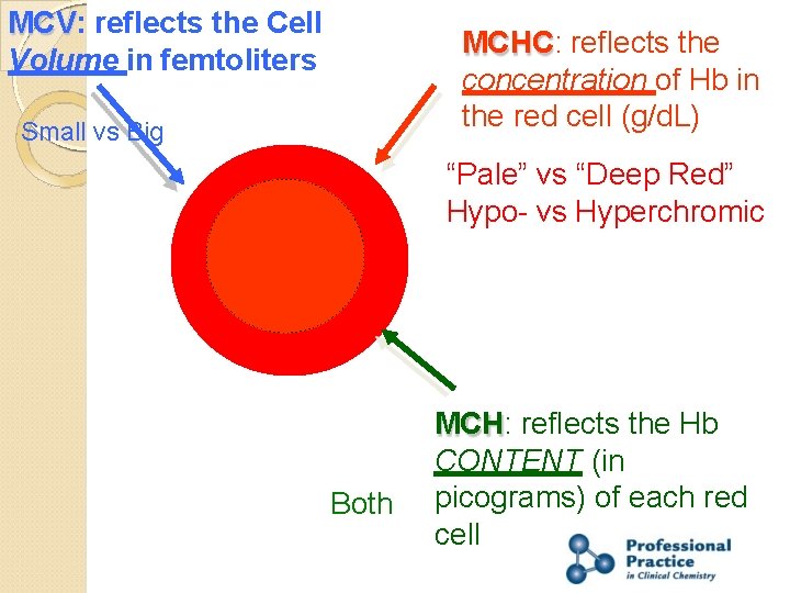 MCV: reflects the Cell Volume in femtoliters MCHC: reflects the concentration of Hb in