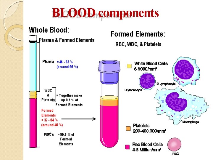 BLOOD components 