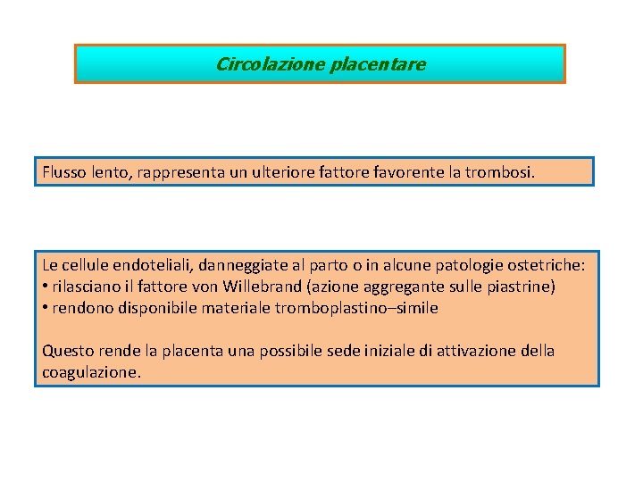 Circolazione placentare Flusso lento, rappresenta un ulteriore fattore favorente la trombosi. Le cellule endoteliali,