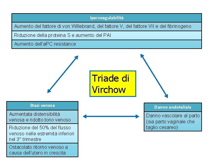 Ipercoagulabilità Aumento del fattore di von Willebrand, del fattore VII e del fibrinogeno Riduzione