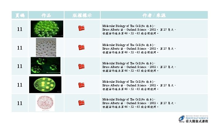 頁碼 作品 版權標示 作者 / 來源 11 Molecular Biology of The Cell (4 e