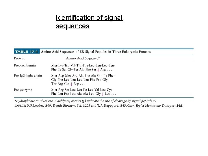 Identification of signal sequences 