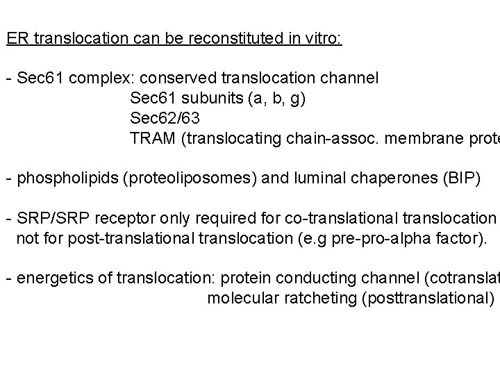 ER translocation can be reconstituted in vitro: - Sec 61 complex: conserved translocation channel