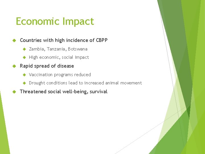 Economic Impact Countries with high incidence of CBPP Zambia, Tanzania, Botswana High economic, social