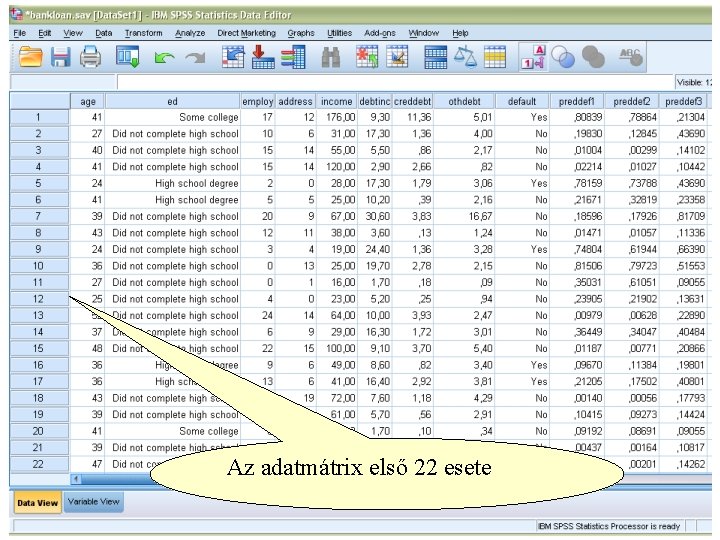 Az adatmátrix első 22 esete 