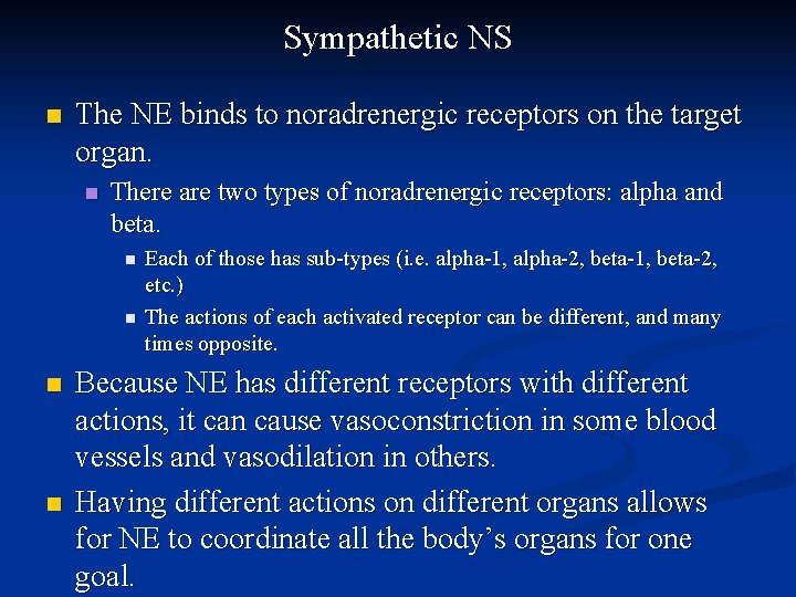 Sympathetic NS n The NE binds to noradrenergic receptors on the target organ. n