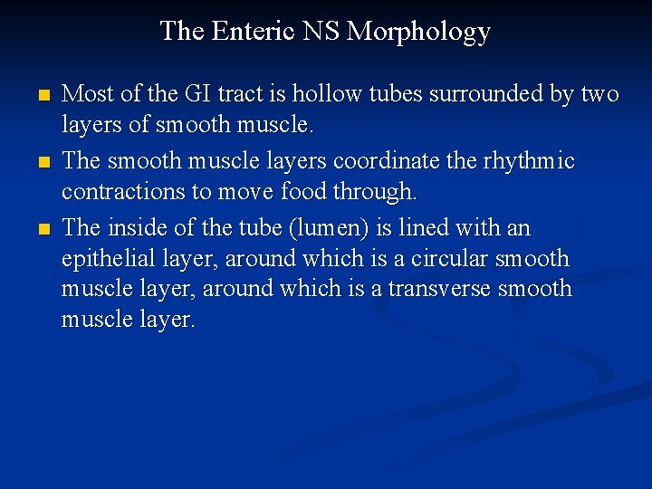 The Enteric NS Morphology n n n Most of the GI tract is hollow