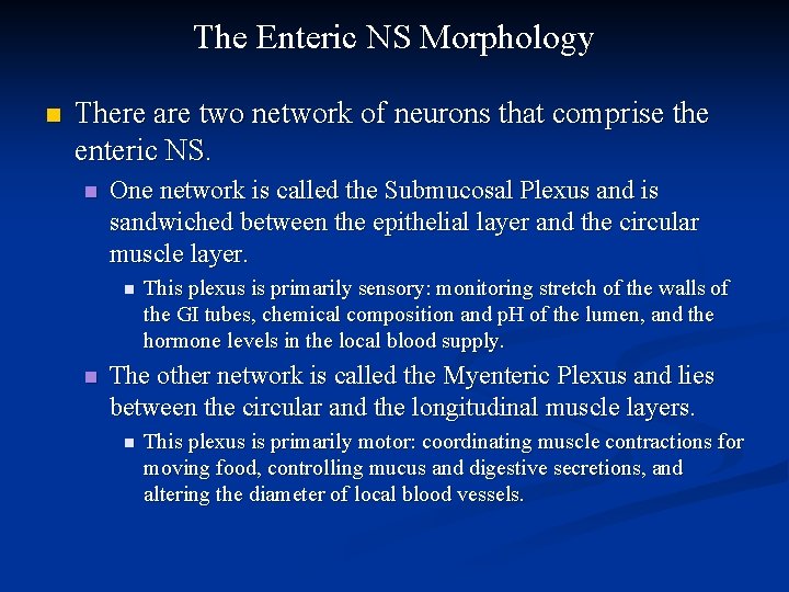 The Enteric NS Morphology n There are two network of neurons that comprise the