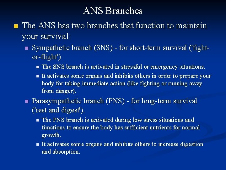 ANS Branches n The ANS has two branches that function to maintain your survival: