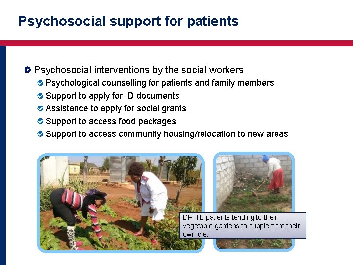 Psychosocial support for patients Psychosocial interventions by the social workers Psychological counselling for patients