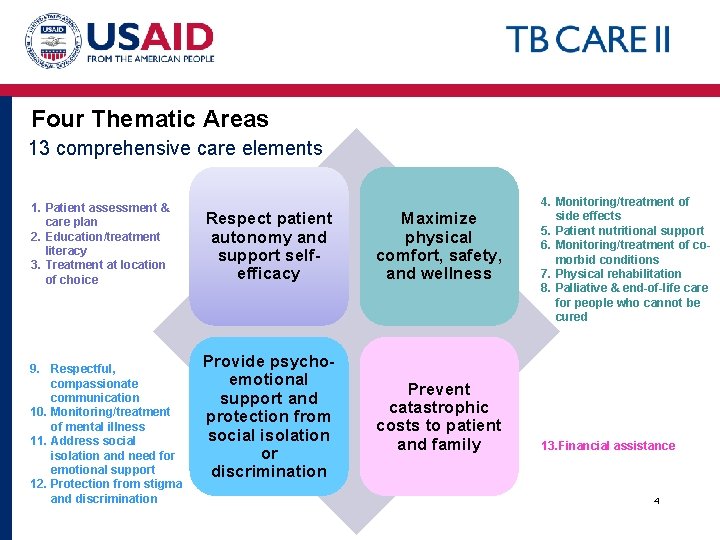 Four Thematic Areas 13 comprehensive care elements 1. Patient assessment & care plan 2.