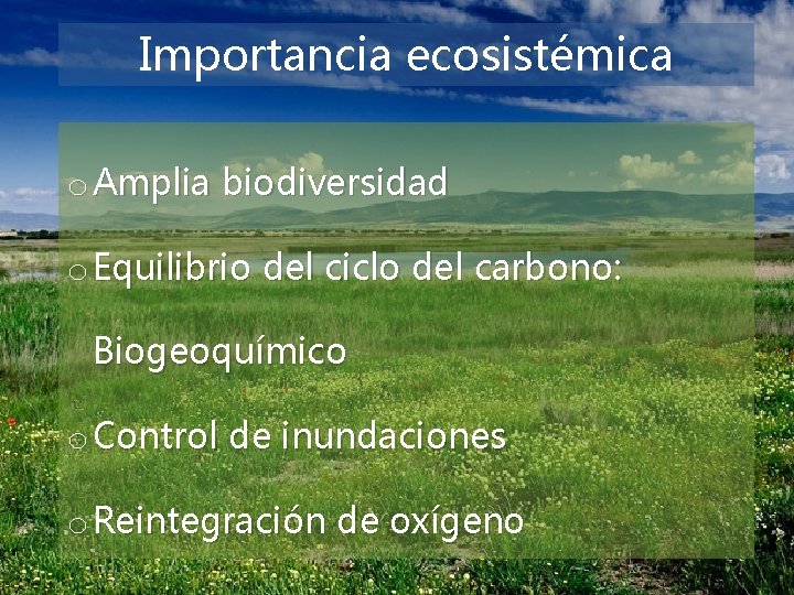 Importancia ecosistémica o Amplia biodiversidad o Equilibrio del ciclo del carbono: Biogeoquímico o Control