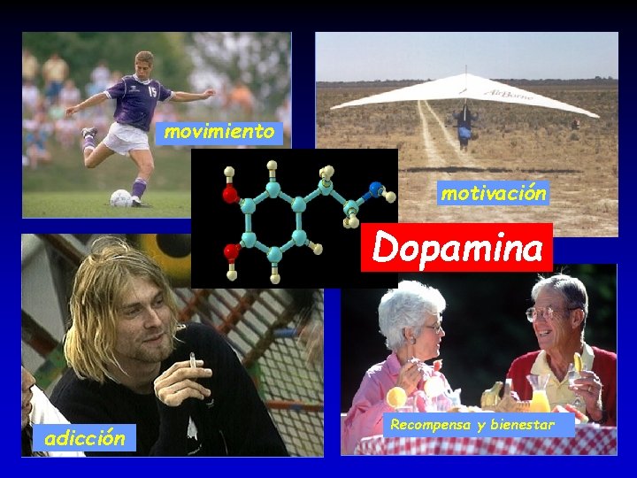 movimiento motivación Dopamina adicción Recompensa y bienestar 