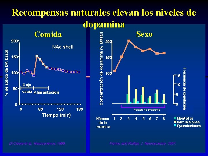 Recompensas naturales elevan los niveles de dopamina 200 % de salida de DA basal