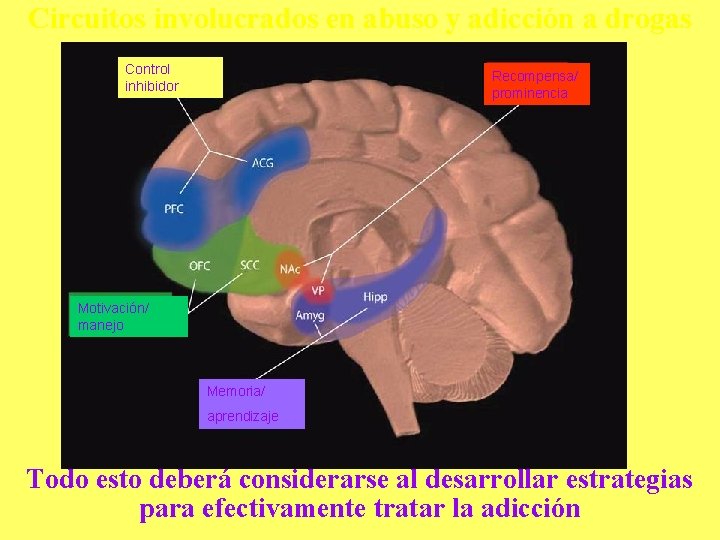 Circuitos involucrados en abuso y adicción a drogas Control inhibidor Recompensa/ prominencia Motivación/ manejo