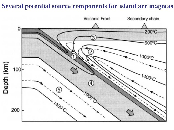 Several potential source components for island arc magmas 