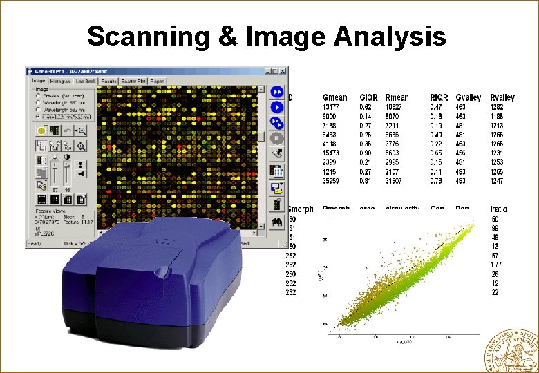 Scanning & Image Analysis 