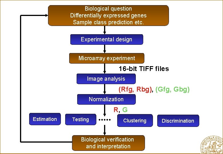 Biological question Differentially expressed genes Sample class prediction etc. Experimental design Microarray experiment 16
