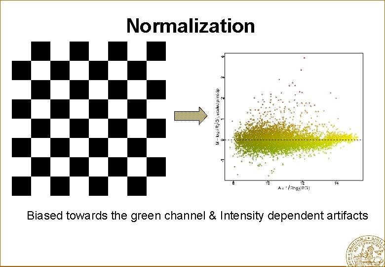 Normalization Biased towards the green channel & Intensity dependent artifacts 