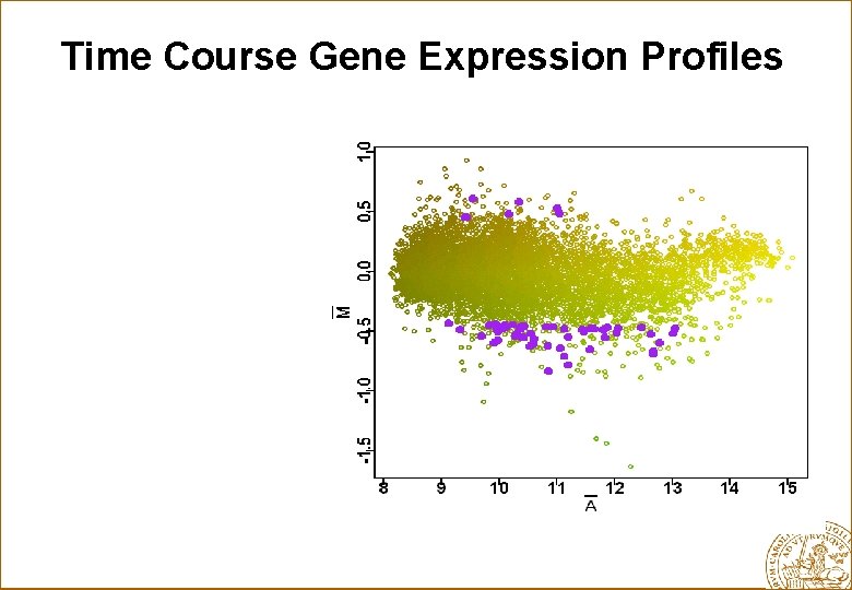 Time Course Gene Expression Profiles 