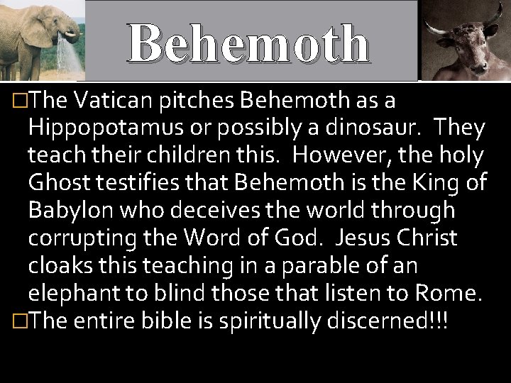 Behemoth �The Vatican pitches Behemoth as a Hippopotamus or possibly a dinosaur. They teach