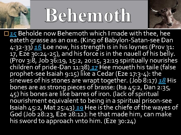Behemoth � 15 Beholde now Behemoth which I made with thee, hee eateth grasse