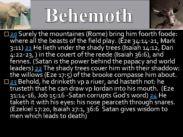 Behemoth � 20 Surely the mountaines (Rome) bring him foorth foode: where all the
