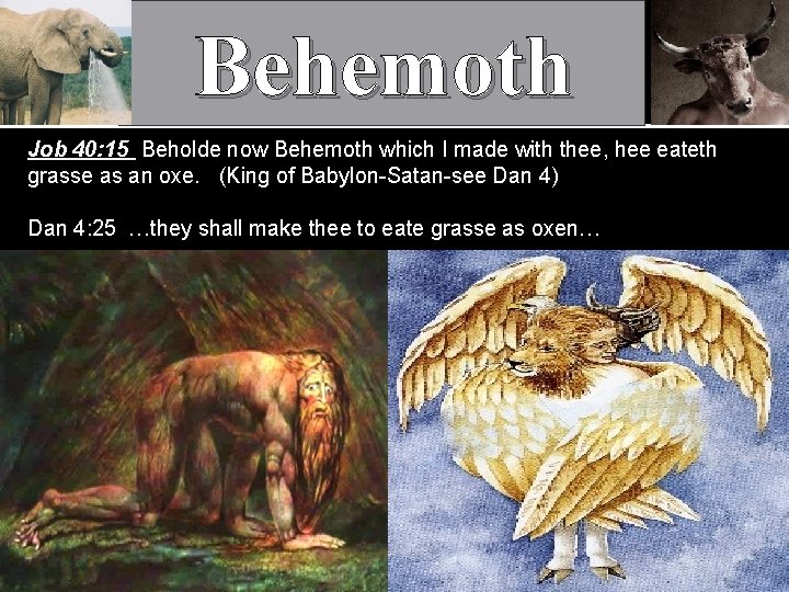 Behemoth Job 40: 15 Beholde now Behemoth which I made with thee, hee eateth