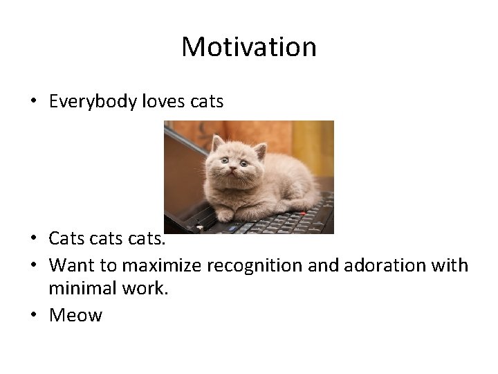 Motivation • Everybody loves cats • Cats cats. • Want to maximize recognition and