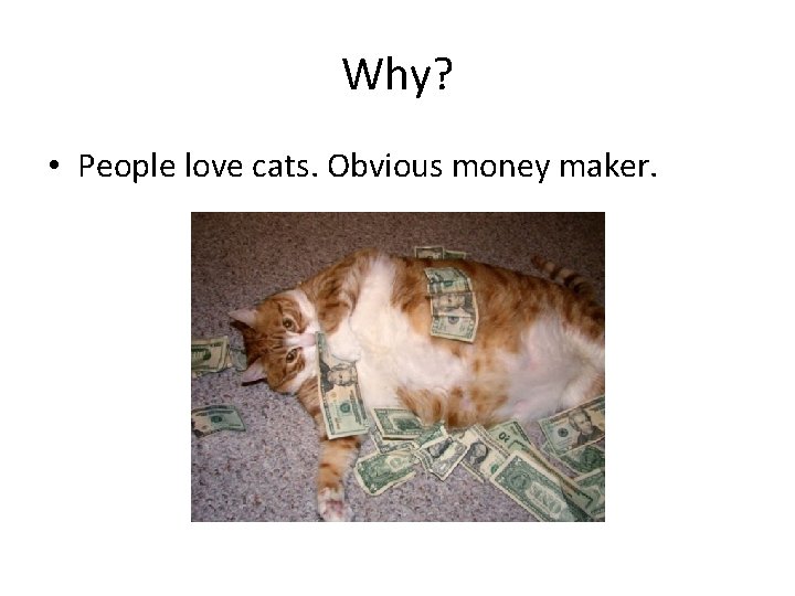 Why? • People love cats. Obvious money maker. 