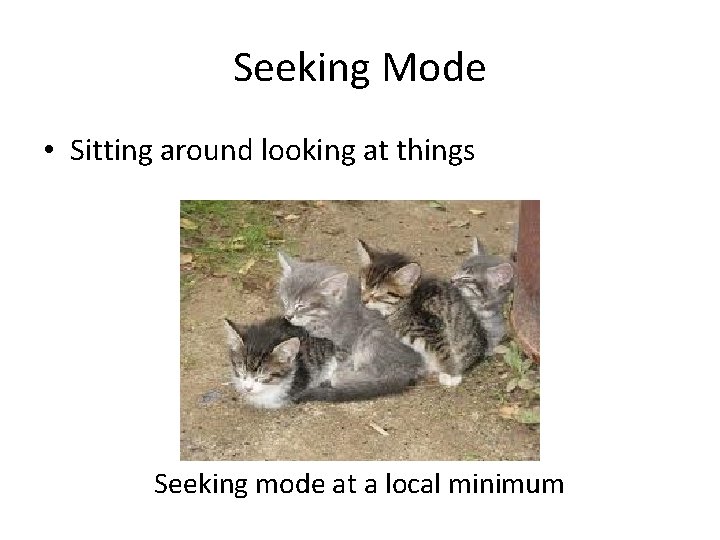 Seeking Mode • Sitting around looking at things Seeking mode at a local minimum