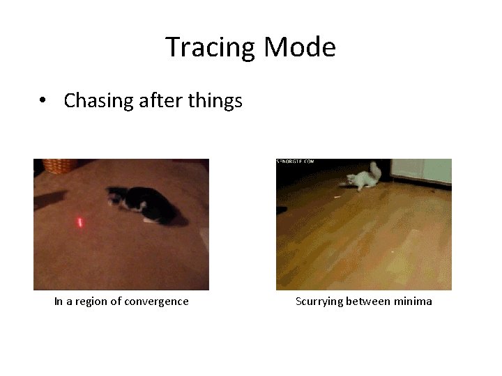 Tracing Mode • Chasing after things In a region of convergence Scurrying between minima