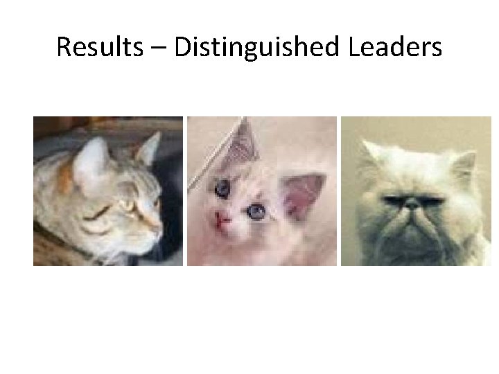 Results – Distinguished Leaders 