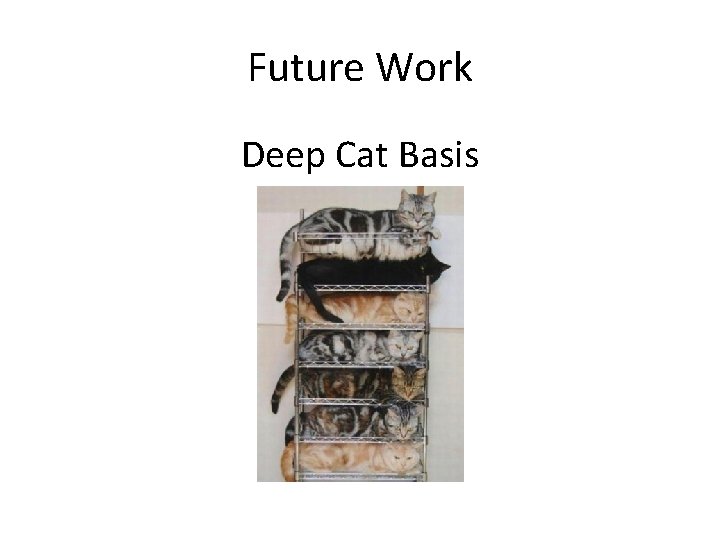 Future Work Deep Cat Basis 