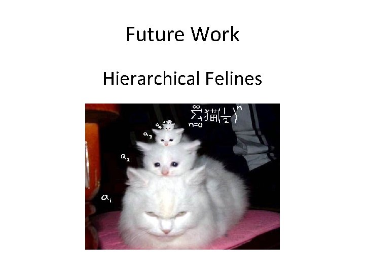 Future Work Hierarchical Felines 