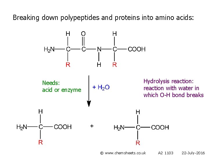 Breaking down polypeptides and proteins into amino acids: Needs: acid or enzyme Hydrolysis reaction: