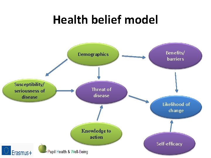 Health belief model Demographics Susceptibility/ seriousness of disease Benefits/ barriers Threat of disease Likelihood