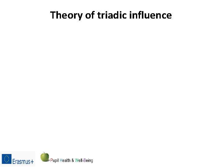 Theory of triadic influence 