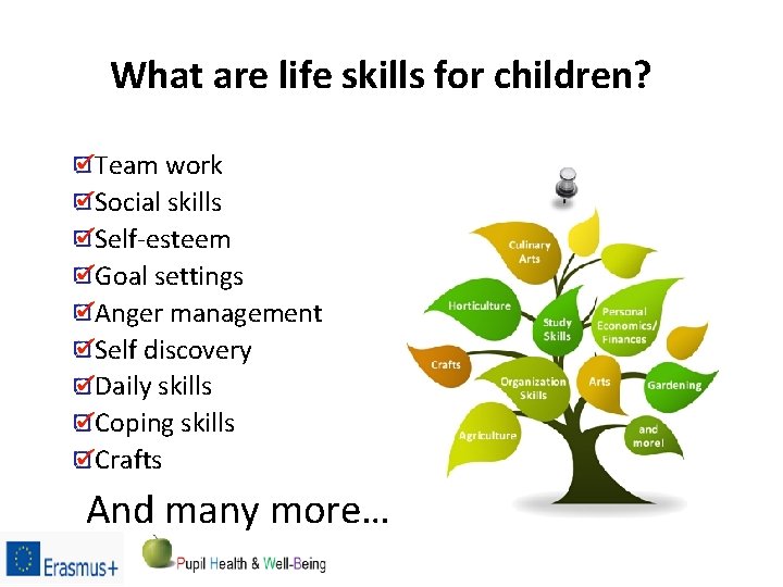What are life skills for children? Team work Social skills Self-esteem Goal settings Anger
